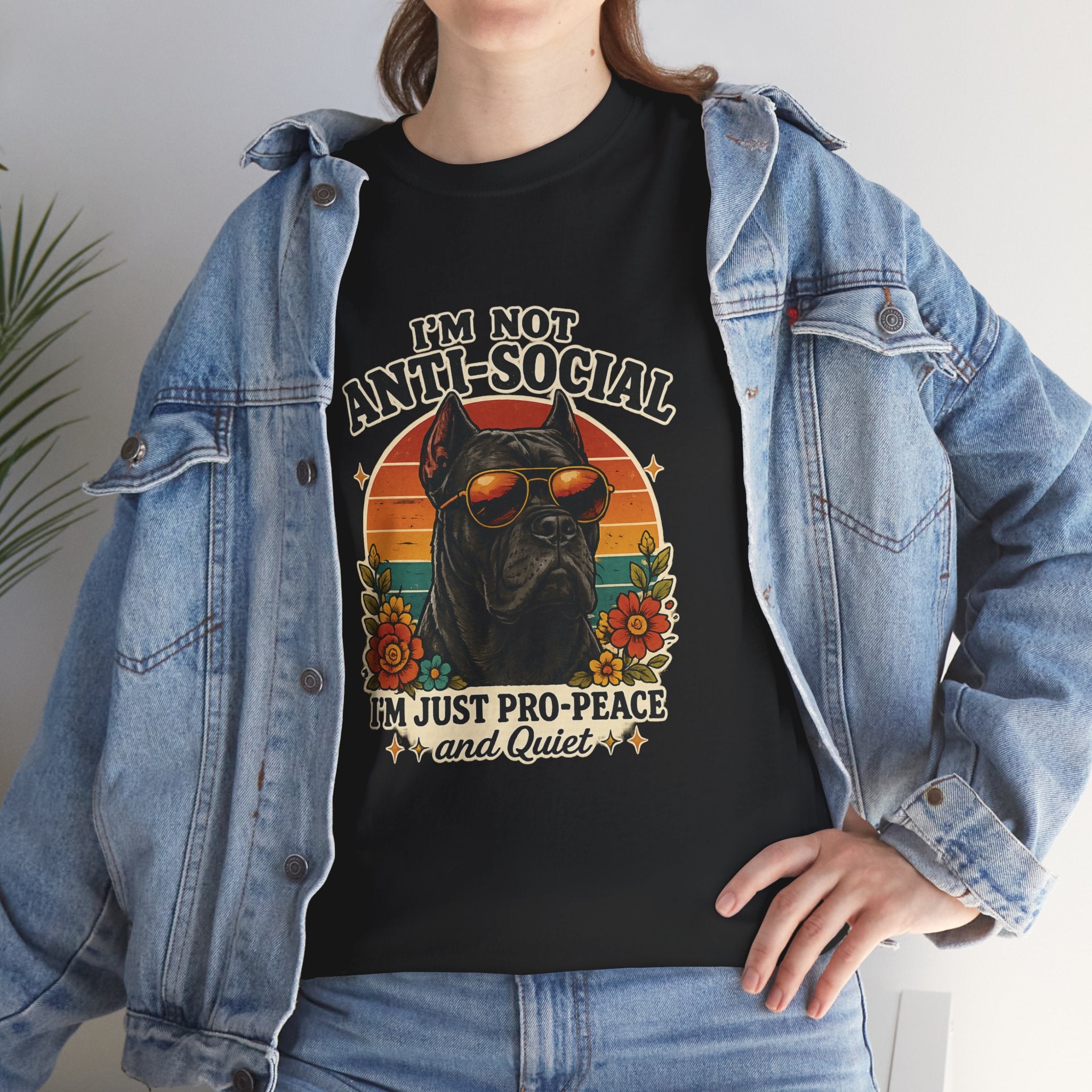 I’m Not Anti-Social — I’m Just Pro-Peace & Quiet Retro Graphic Tee
