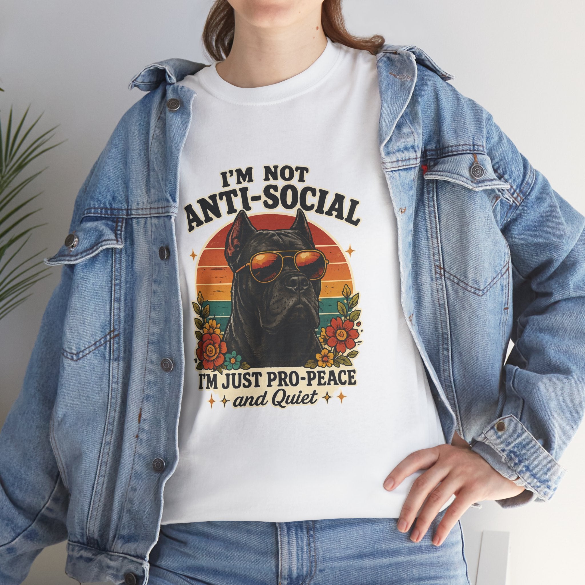 I’m Not Anti-Social — I’m Just Pro-Peace & Quiet Retro Graphic Tee