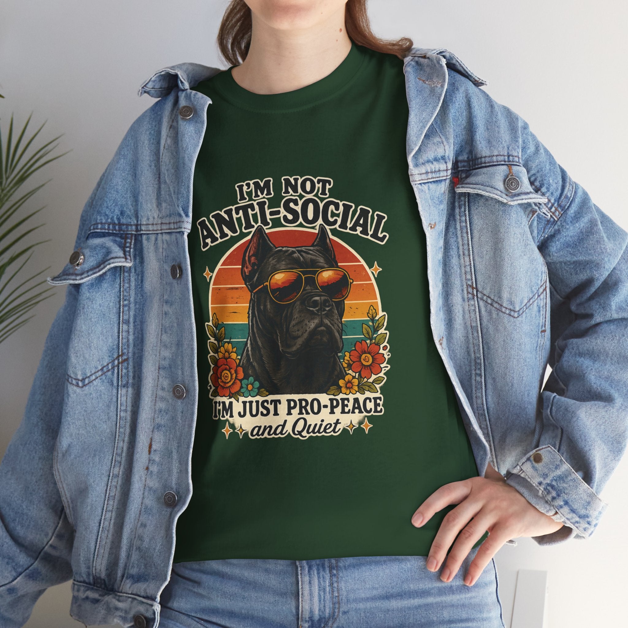 I’m Not Anti-Social — I’m Just Pro-Peace & Quiet Retro Graphic Tee