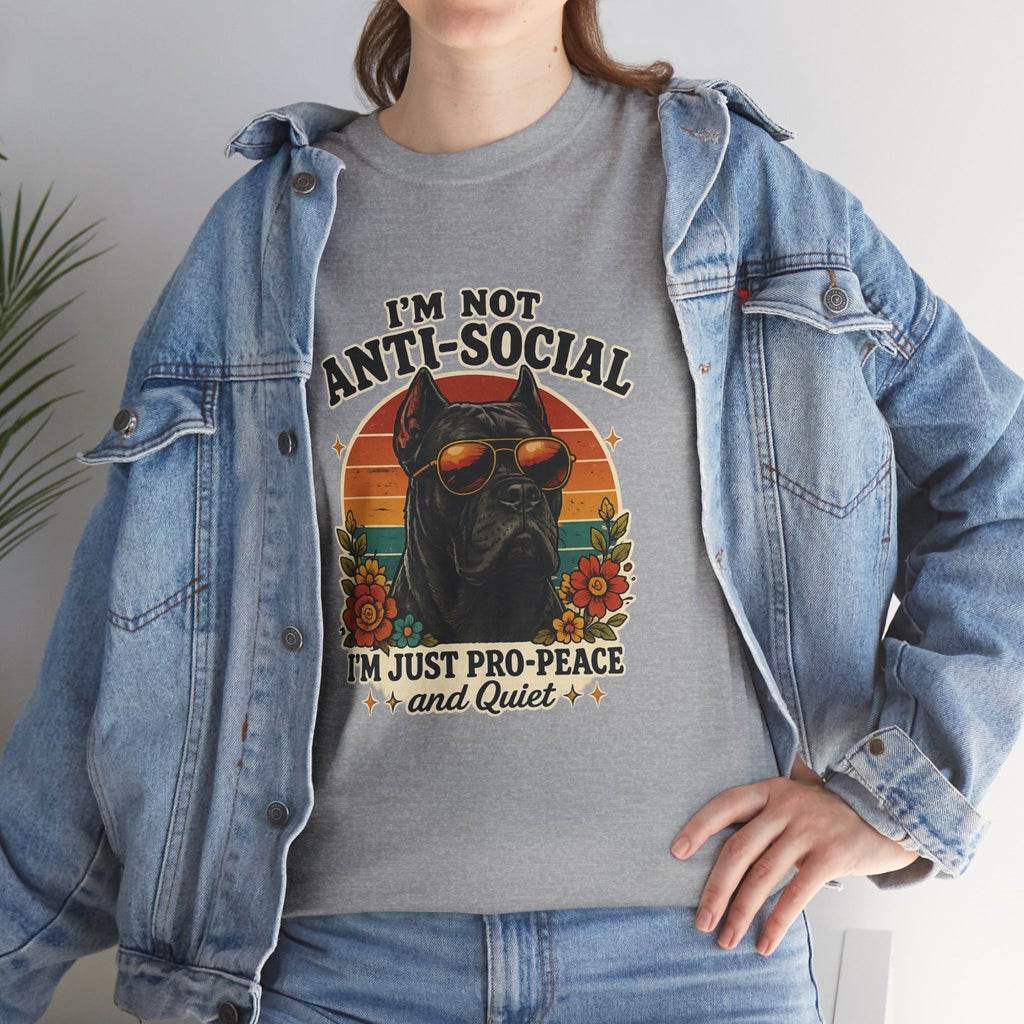 I’m Not Anti-Social — I’m Just Pro-Peace & Quiet Retro Graphic Tee