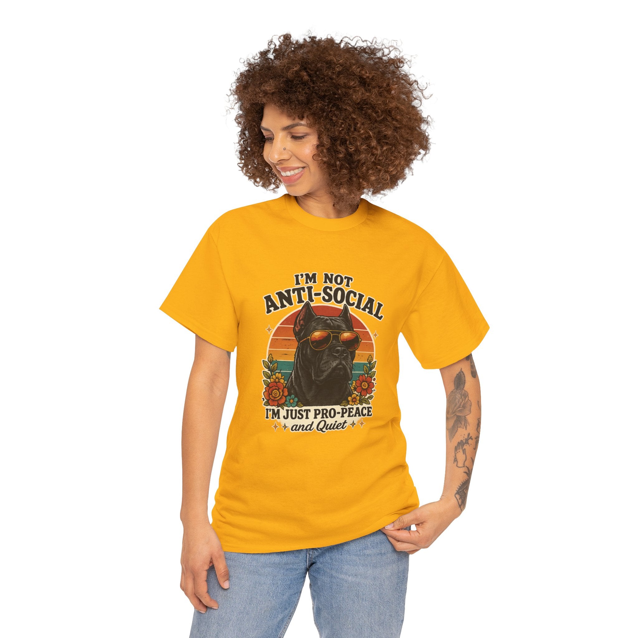 I’m Not Anti-Social — I’m Just Pro-Peace & Quiet Retro Graphic Tee