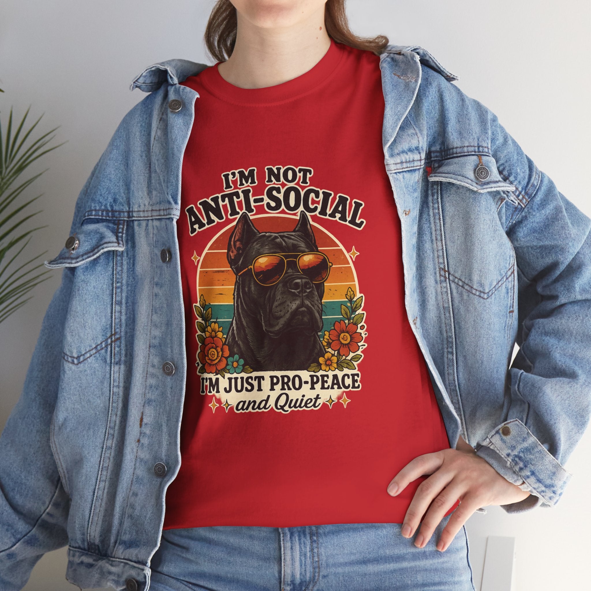 I’m Not Anti-Social — I’m Just Pro-Peace & Quiet Retro Graphic Tee