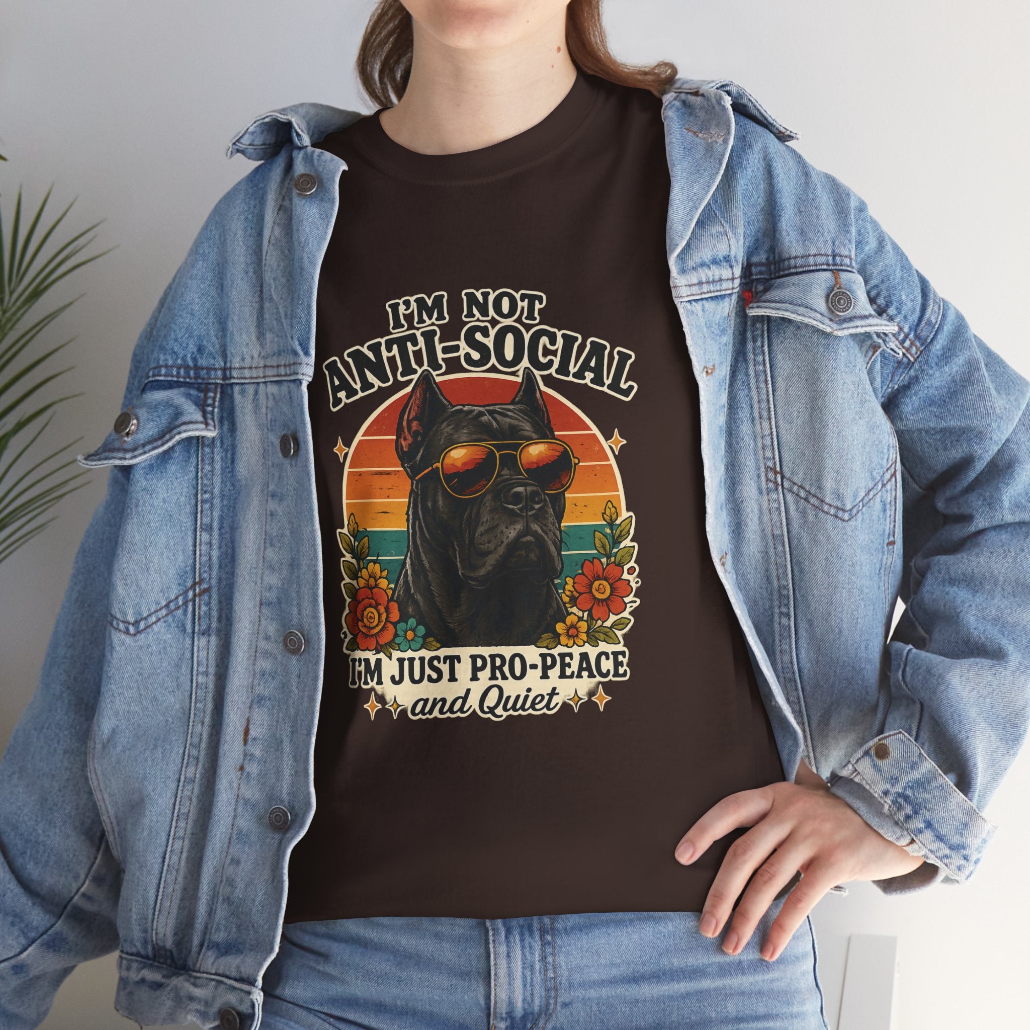 I’m Not Anti-Social — I’m Just Pro-Peace & Quiet Retro Graphic Tee