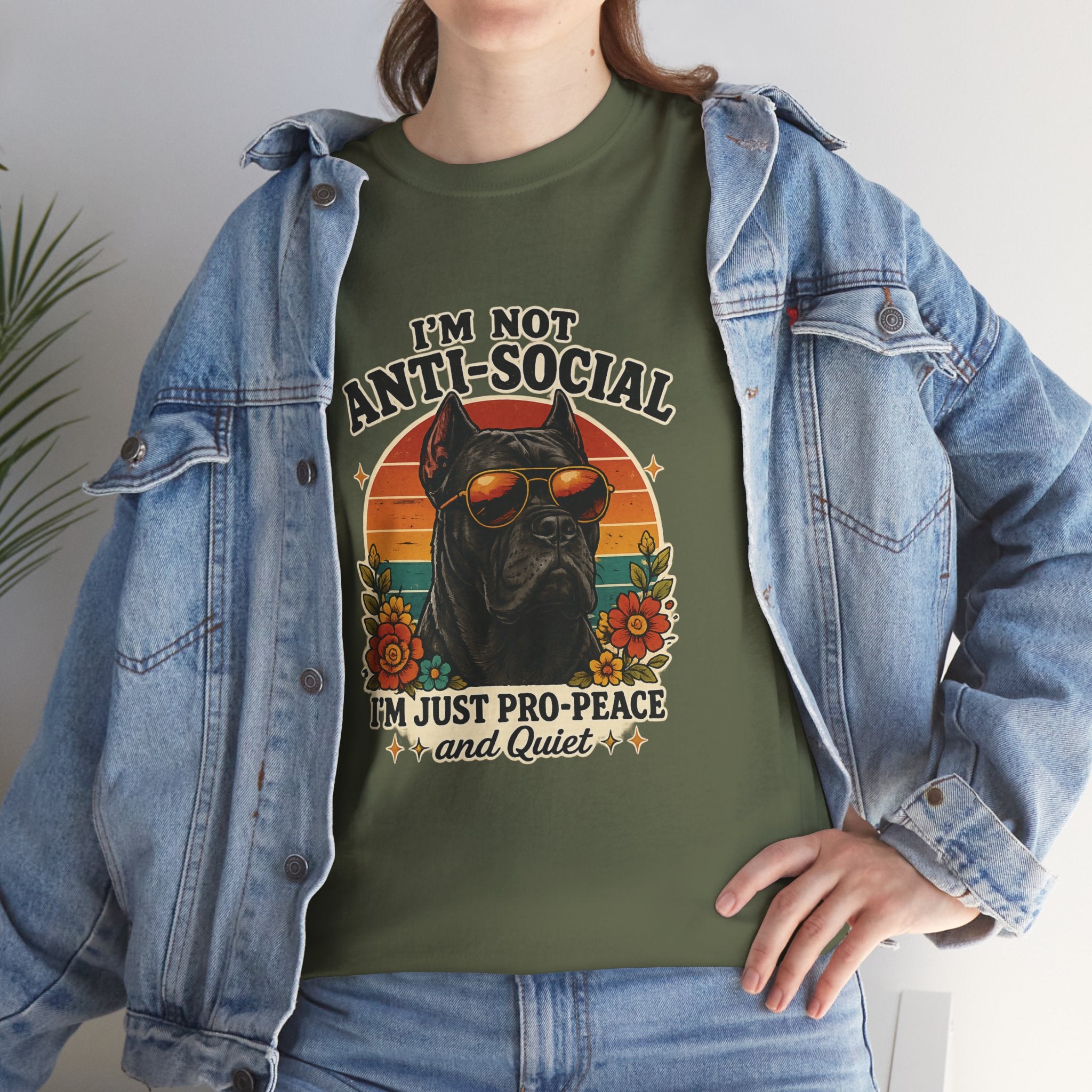 I’m Not Anti-Social — I’m Just Pro-Peace & Quiet Retro Graphic Tee
