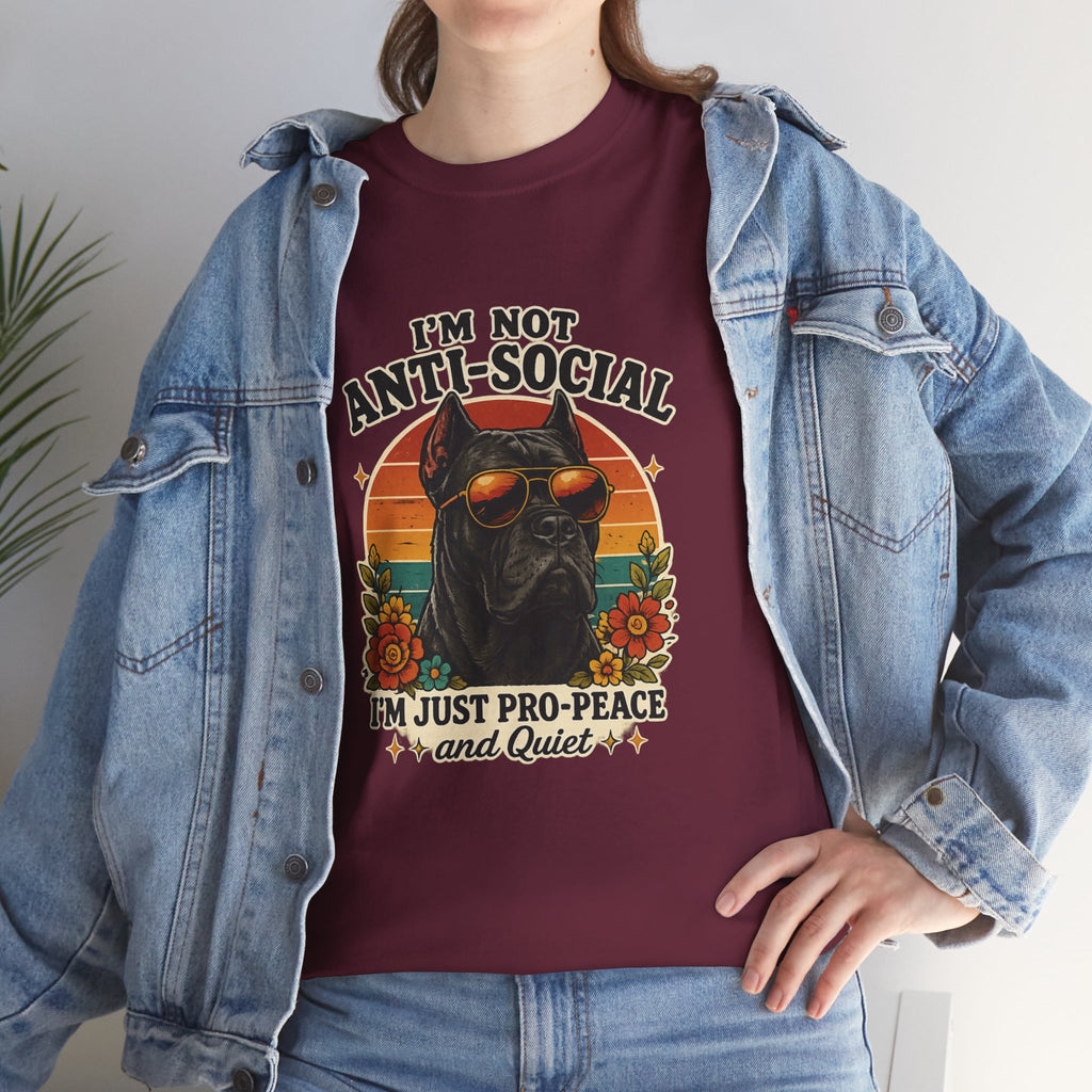 I’m Not Anti-Social — I’m Just Pro-Peace & Quiet Retro Graphic Tee
