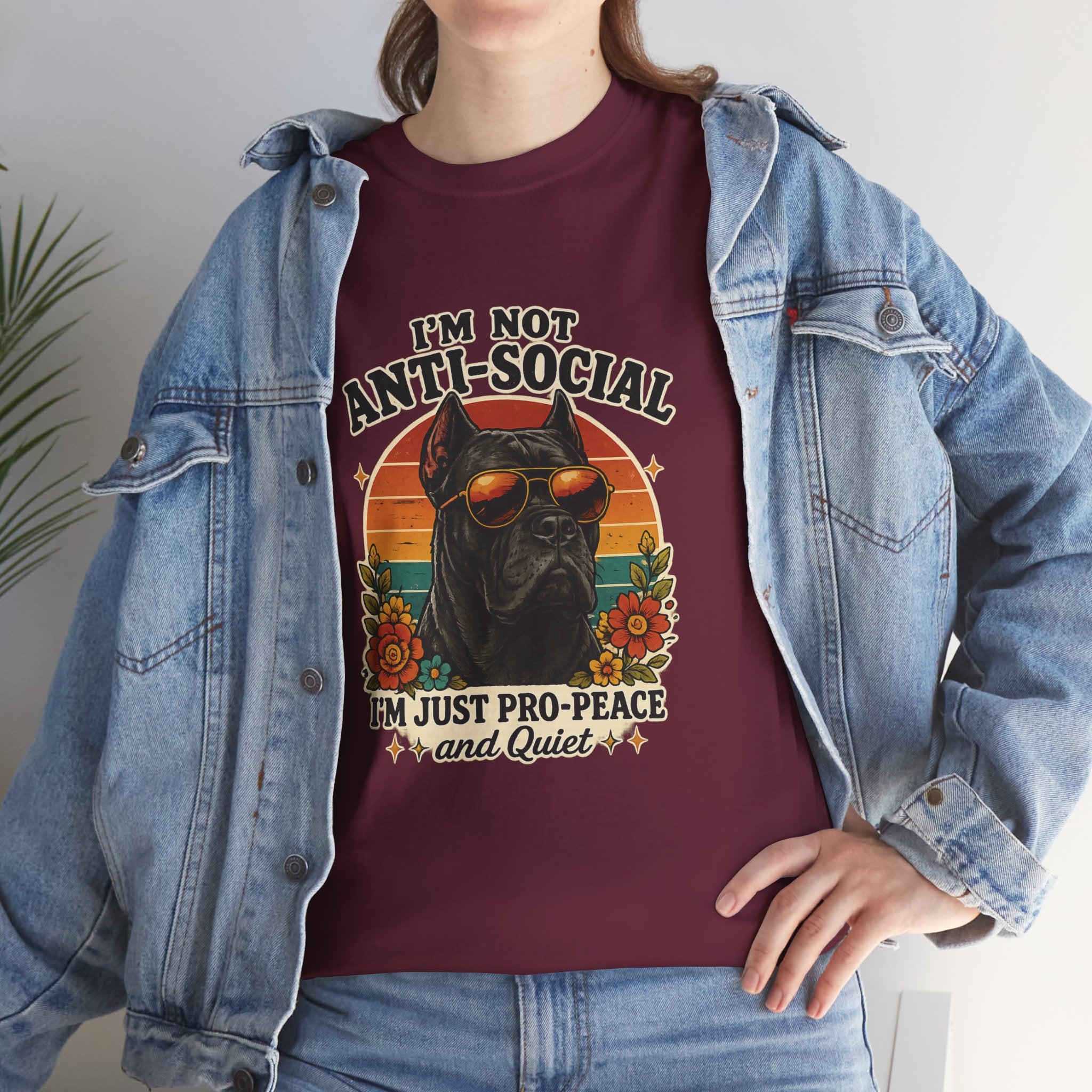 I’m Not Anti-Social — I’m Just Pro-Peace & Quiet Retro Graphic Tee