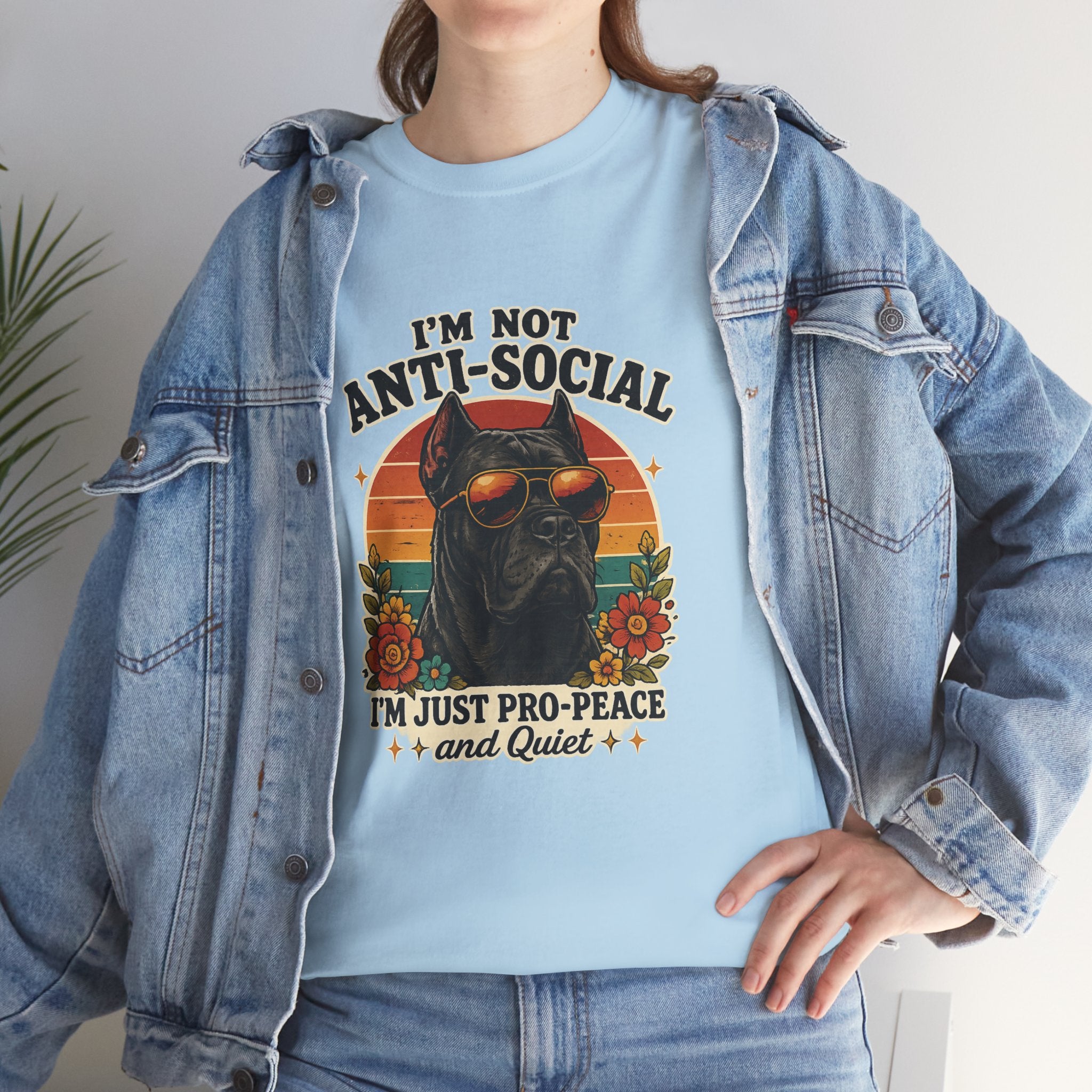 I’m Not Anti-Social — I’m Just Pro-Peace & Quiet Retro Graphic Tee