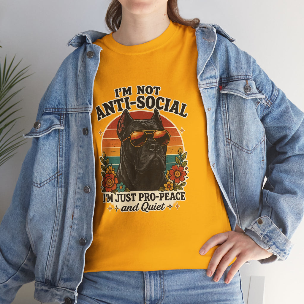 I’m Not Anti-Social — I’m Just Pro-Peace & Quiet Retro Graphic Tee