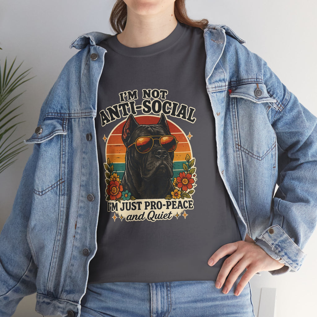 I’m Not Anti-Social — I’m Just Pro-Peace & Quiet Retro Graphic Tee