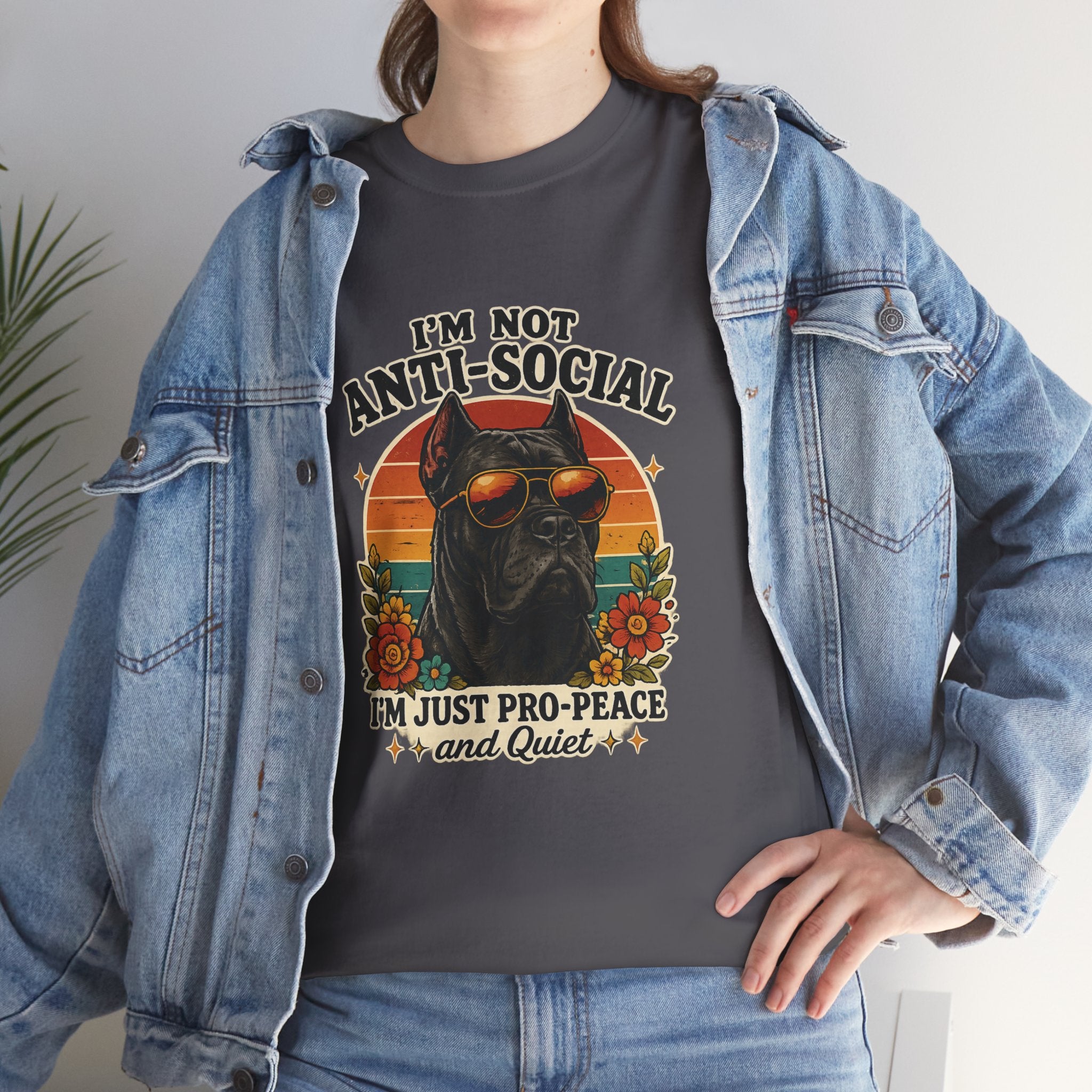 I’m Not Anti-Social — I’m Just Pro-Peace & Quiet Retro Graphic Tee