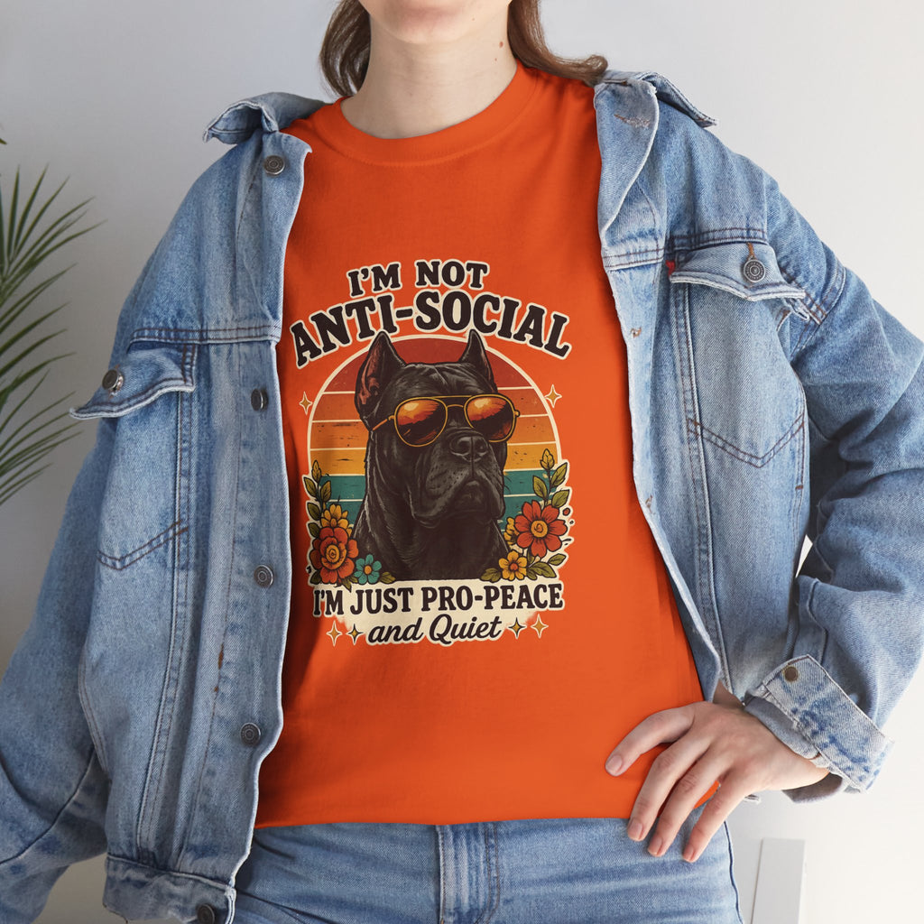 I’m Not Anti-Social — I’m Just Pro-Peace & Quiet Retro Graphic Tee