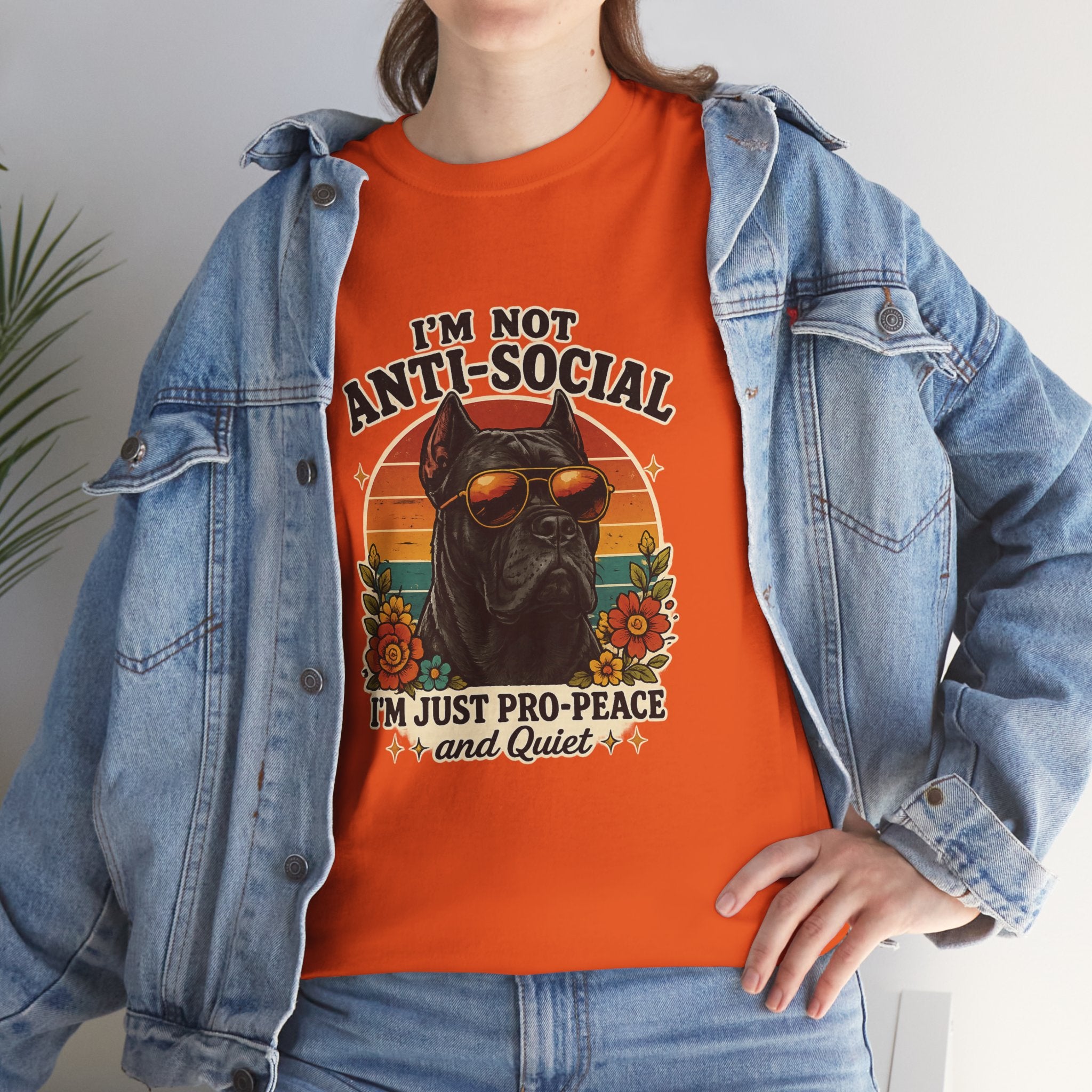 I’m Not Anti-Social — I’m Just Pro-Peace & Quiet Retro Graphic Tee